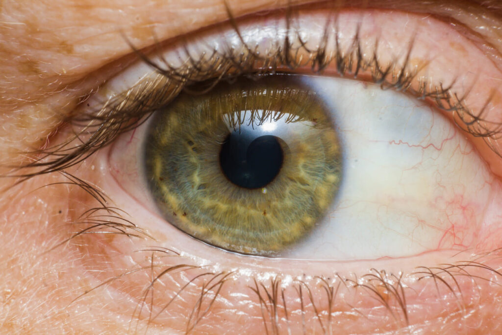 yeux noisettes