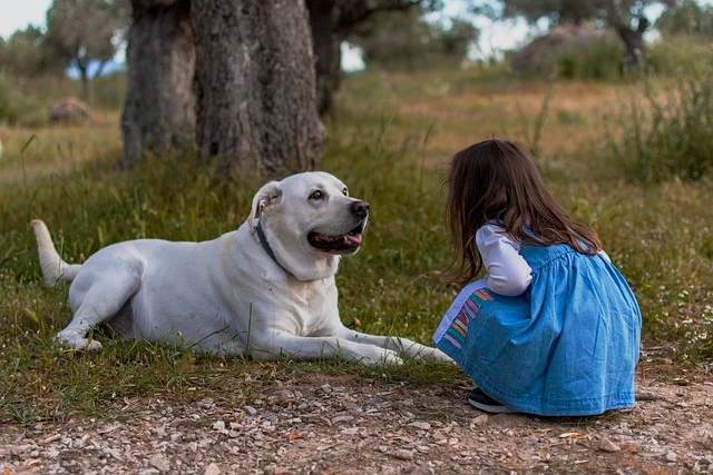 chien avec enfant